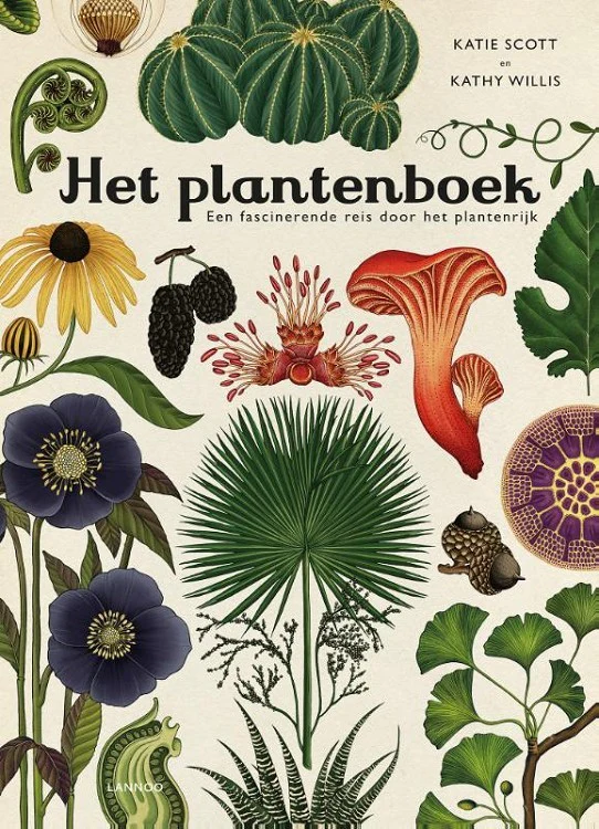 Miniatuur 1